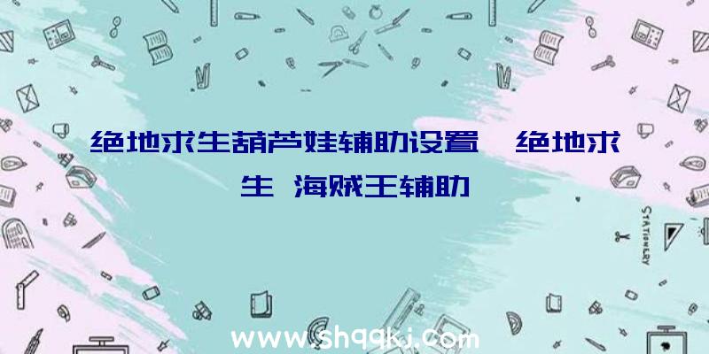 绝地求生葫芦娃辅助设置、绝地求生